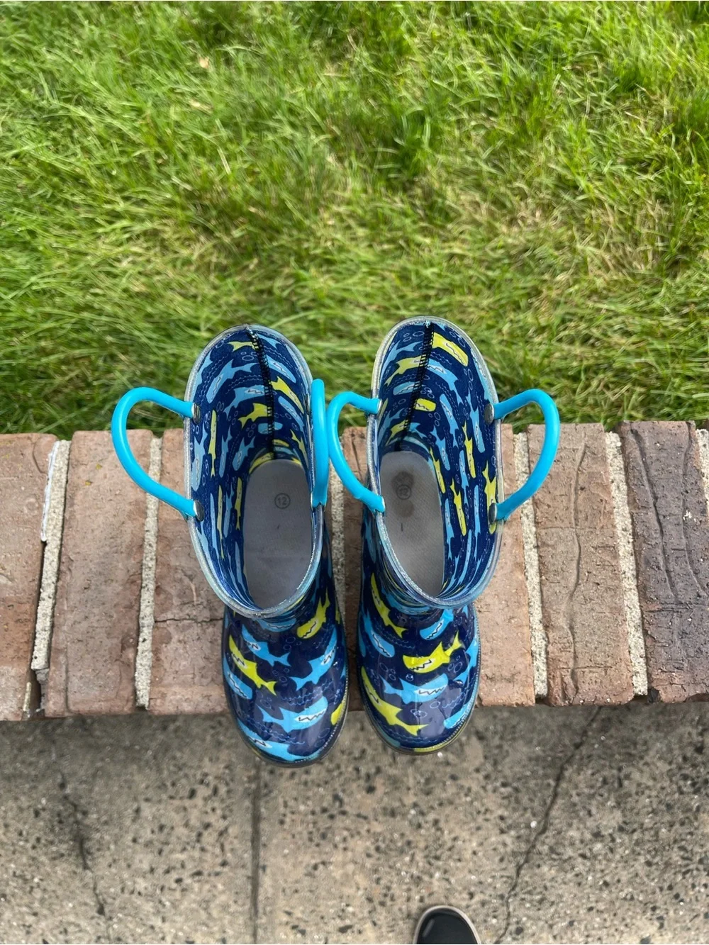 wonder nation Kids Shark Rain Boots - Blue & Yellow